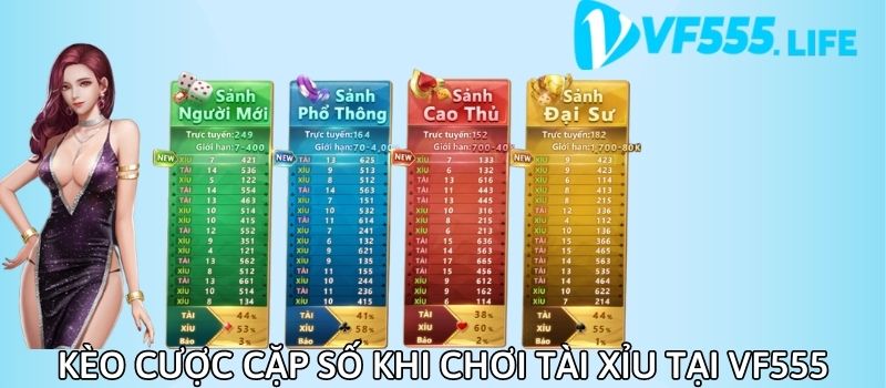 Tài xỉu là gì? Nhà cái cá cược VF555 là địa điểm uy tín để chơi tài xỉu online