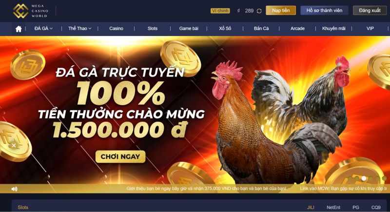 Đá Gà Thomo Hôm Nay: Một Trải Nghiệm đá gà casino  Độc Đáo Có tại VF555